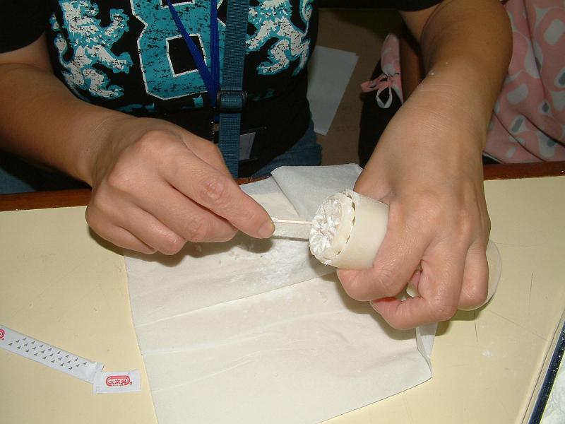 DSCF 029.jpg
